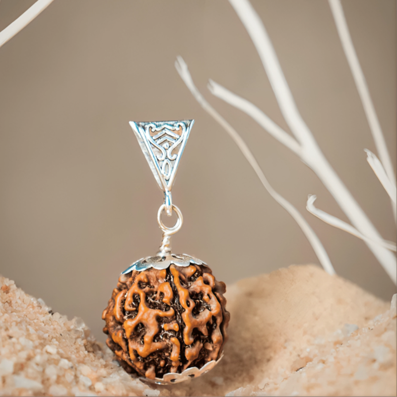 Rudraksha