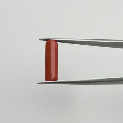 Capsule Red Coral (लाल मूंगा) - Economic (3-5)