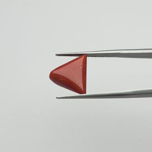 Triangular Red Coral (लाल मूंगा) - Premium